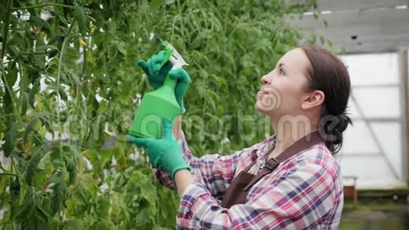 年轻女子正在温室里给植物喷水视频的预览图