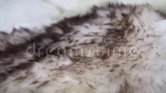 把动物的皮毛收起来动物纹理背景时装业纺织业视频的预览图