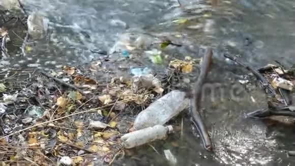 在小河里倒空塑料瓶环境污染概念视频的预览图