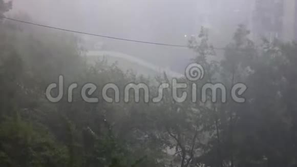 镇上的风暴大风下的树木视频的预览图