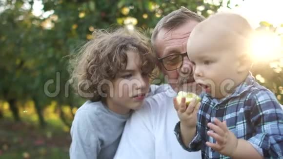 托德勒和他的祖父和哥哥在苹果园吃了一个苹果花园里日落时分可爱的一家人视频的预览图