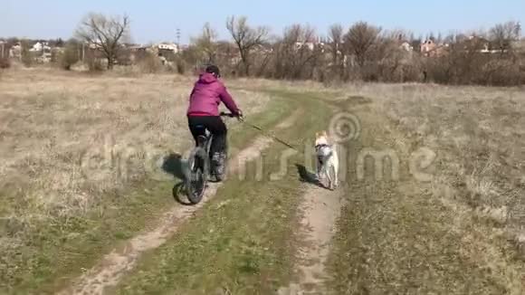 女子骑着混合品种的白狗在土路上骑行视频的预览图