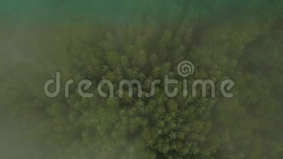 神秘而多雾的无人机在山上的雨林上空飞行在雾上方飞行俯视视频的预览图