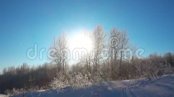 在美丽的晴天雪照在蓝天上视频的预览图