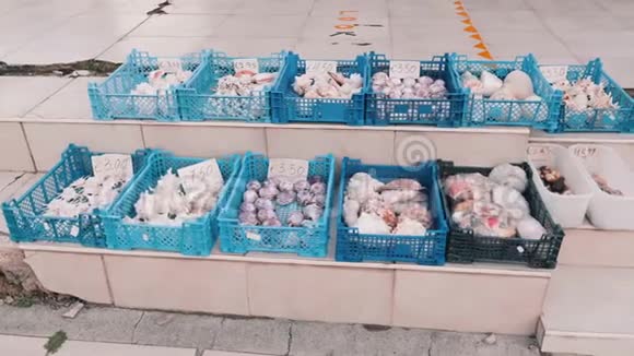 塑料篮子里装满了街上贝壳的海洋纪念品跳蚤市场视频的预览图