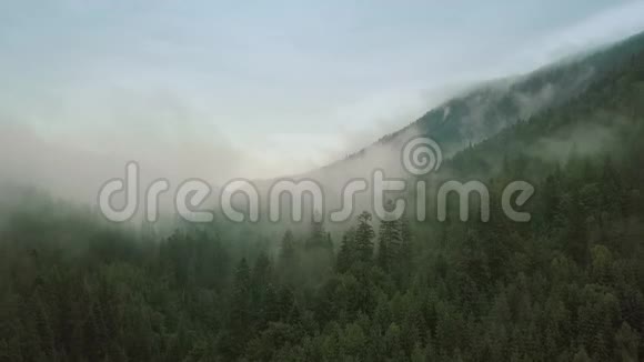 神秘而多雾的无人机在山上的雨林上空飞行关闭视野向上移动视频的预览图