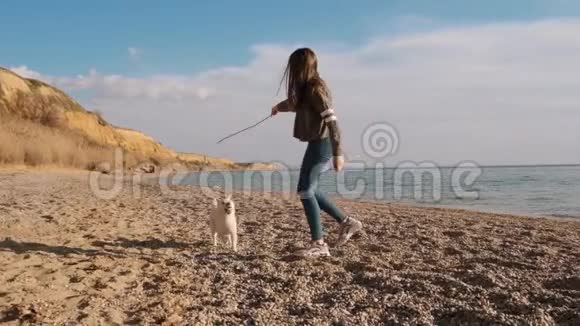 在海滩上玩棍子的少女和她活跃的白色什叶菊小狗的正面视图慢动作视频的预览图
