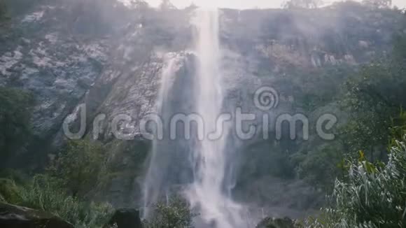 镜头倾斜以揭示快乐年轻美丽的女人摆姿势享受大自然在史诗斯里兰卡丛林瀑布视频的预览图