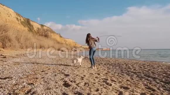 小女孩玩棍子与她惊人的白色石巴鱼宠物在海边慢动作视频的预览图