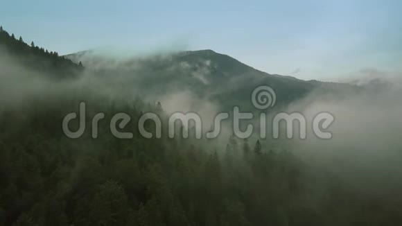 神秘而多雾的无人机在山上的雨林上空飞行中锋视频的预览图