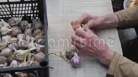 老妇人在外面做饭或种植大蒜前双手筛和剥蒜生活在一个古老的农场里视频的预览图