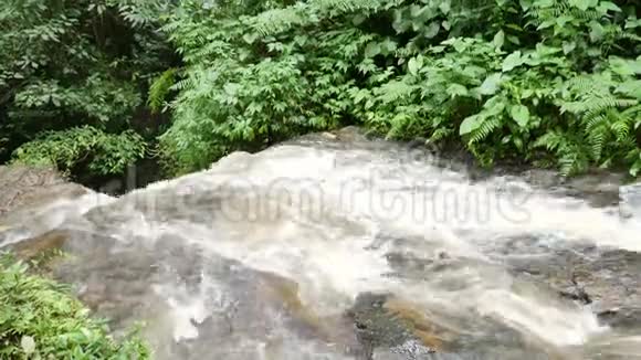 巴厘岛绿树环绕的瀑布视频的预览图