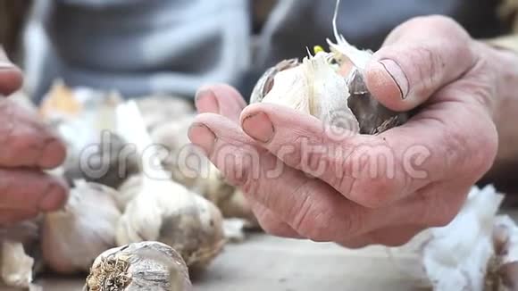 老妇人在外面做饭或种植大蒜前双手筛和剥蒜生活在一个古老的农场里视频的预览图
