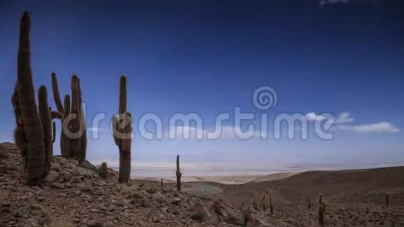 阿塔卡马沙漠的时间推移视频的预览图