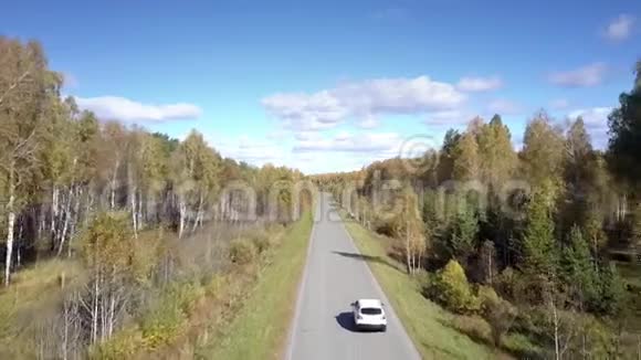 空中汽车在白桦林的道路上行驶消失了视频的预览图