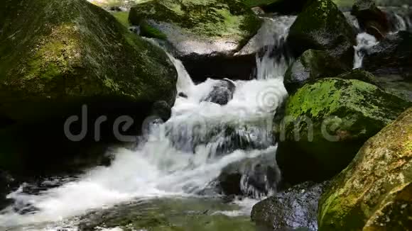 美丽的瀑布水在绿色的苔藓岩石在森林中视频的预览图