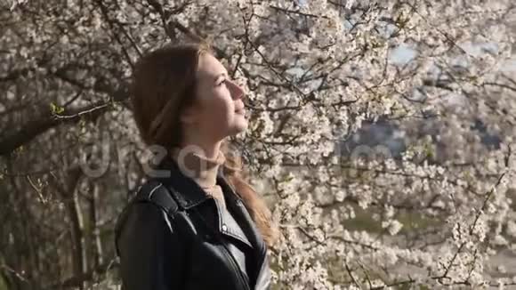 近距离观看美丽的白种人女孩触摸和闻樱花白花与可怕的山谷背景视频的预览图