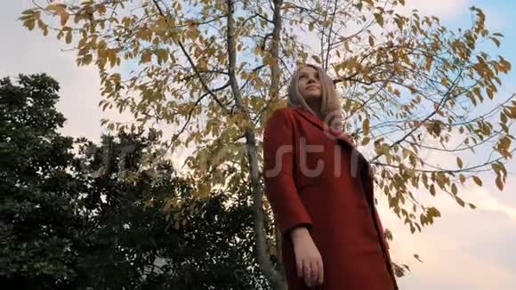 穿着红色外套的年轻女子站在秋天五彩缤纷的公园里欣赏秋天的树叶视频的预览图