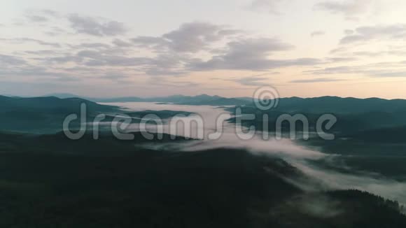 日出时在山上的针叶林上的雾视频的预览图