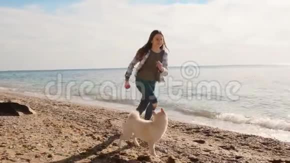在阳光明媚的海滩上少女和她美丽的宠物ShibaInu跑着玩球慢动作视频的预览图