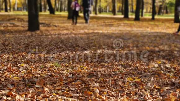 孩子们通过秋天的公园上学树叶在晴天落在一个城镇里美丽的大自然视频的预览图