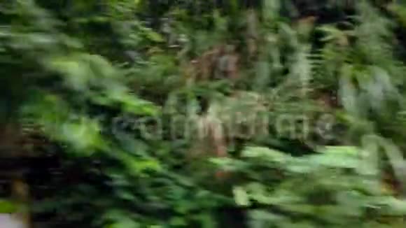 从天门山流出的狭长瀑布视频的预览图