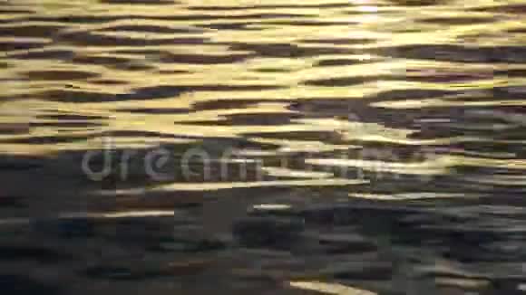 金色水面上的涟漪闭合视频的预览图