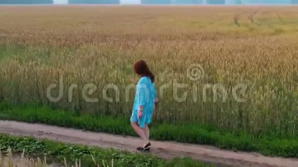 一个穿着连衣裙的年轻女孩沿着麦田散步清晨浓雾弥漫视频的预览图