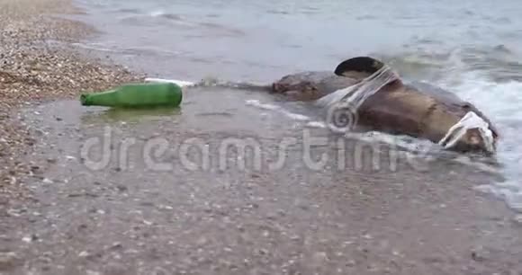污染水域的死海豚海洋污染有毒塑料垃圾视频的预览图