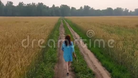 一个穿着连衣裙的年轻女孩沿着麦田散步清晨浓雾弥漫视频的预览图