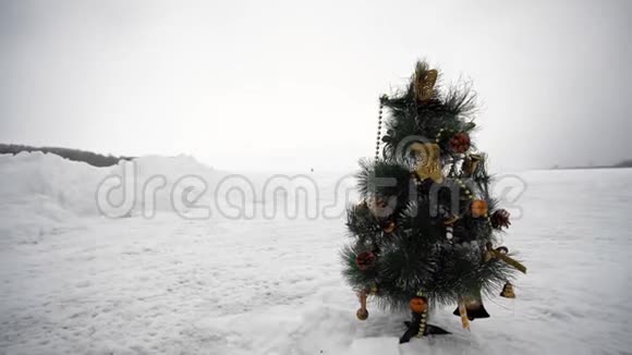 小小的人造优雅的圣诞树矗立在田野中间的街道上视频的预览图