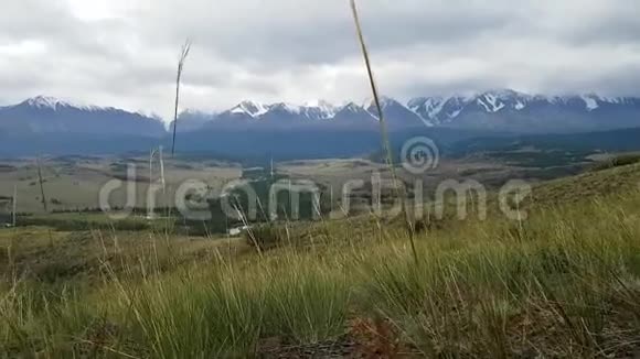 阿尔泰共和国草原长草多云天气对山脉的全景前往俄罗斯视频的预览图