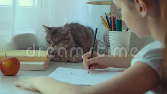 特写小女孩画一幅画抚摸她的宠物猫视频的预览图