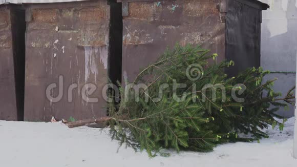 新年过后圣诞树就在一个公共回收垃圾桶附近枞树在视频的预览图