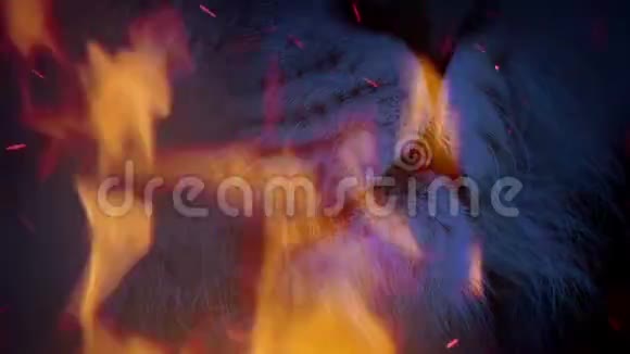 狮子在狂暴的火焰中咆哮视频的预览图