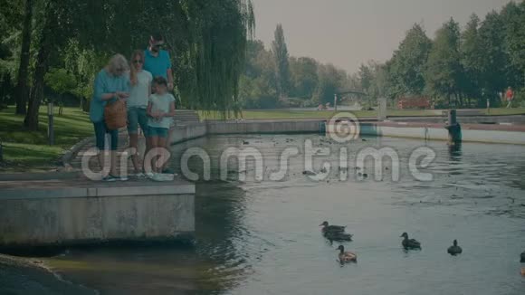 多代家庭在公园喂鸭视频的预览图