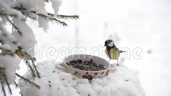 在冬天的雪中在给料机上打头视频的预览图