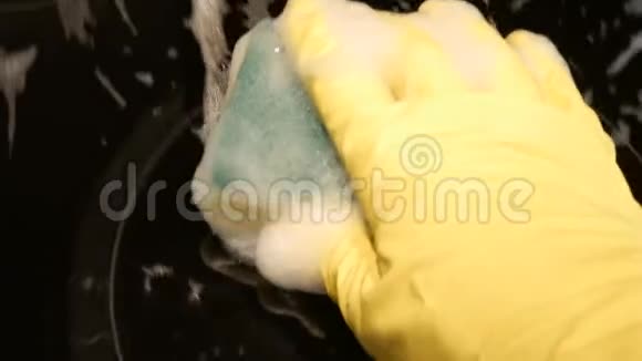 POV板滚刀清洗海绵用洗涤剂清洗电炉的滚刀关门视频的预览图