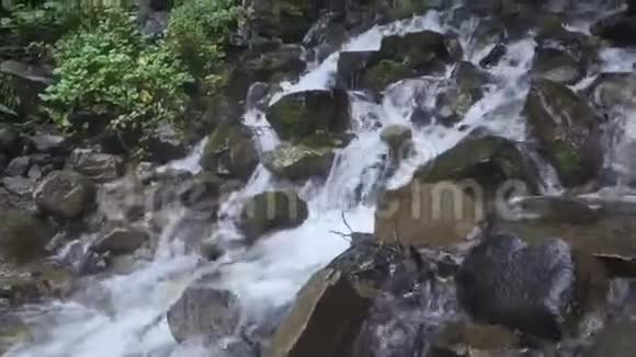 山河在绿色的夏季热带森林中热带瀑布热带雨林中有美丽的小溪视频的预览图