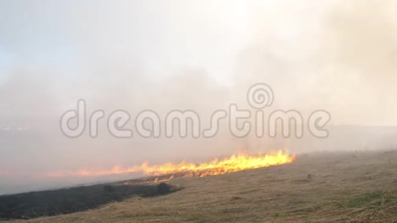 燃烧场火被风吹得很快暴风元素火焰中的干草和燃烧时的烟视频的预览图