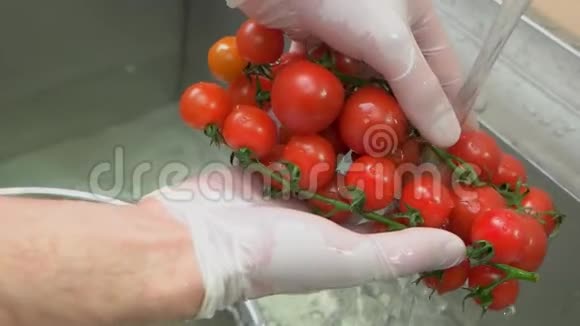 手洗熟番茄慢视频的预览图