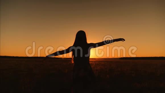 快乐的女孩长发在金色的夕阳下跳舞女孩的轮廓在美丽的光线中旋转视频的预览图
