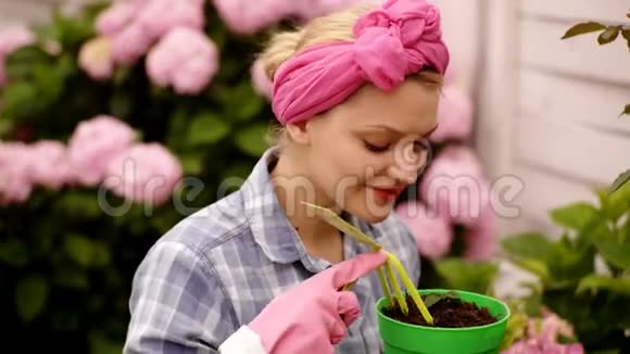 有花的女人女人喷花和土花春季开花温室的花快乐女园丁视频的预览图