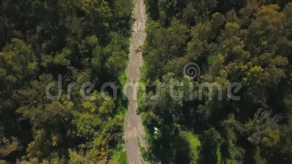 从森林到湖泊的狭窄路径鸟瞰视频的预览图