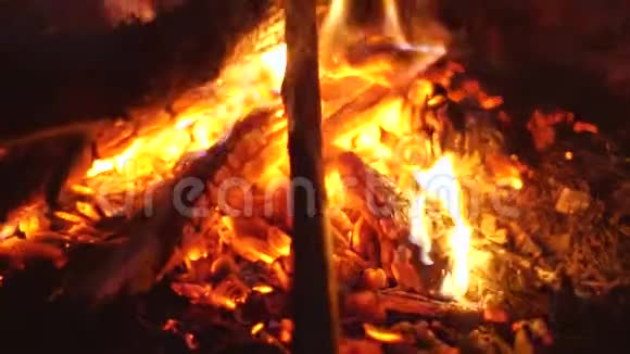 篝火烧烤明亮的红色火焰与飞行火花的自然温暖的壁炉关闭视频的预览图