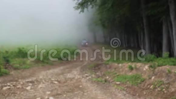 三个黑色十字车从雾中驶入神奇的夏季森林慢动作视频的预览图