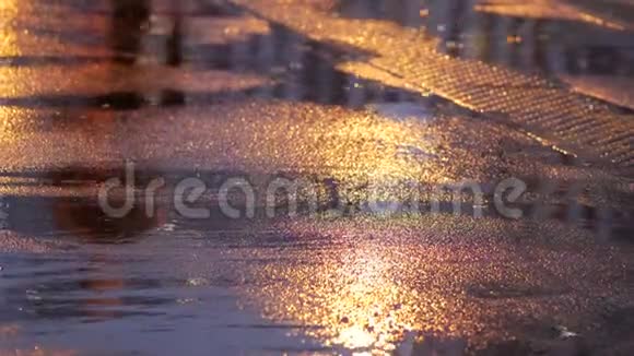夜间街道上潮湿沥青上的人影反映人造光视频的预览图