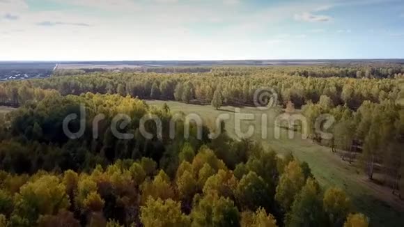 秋天在桦树林和乡间小路上进行空中运动视频的预览图