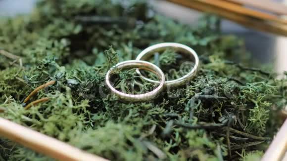 两个金色结婚戒指在苔藓上的玻璃金属盒子4k近距离变焦镜头视频的预览图