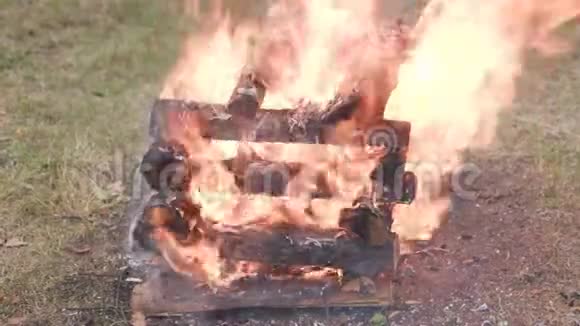 在草地上做一个大篝火用木头做的美丽的篝火视频的预览图